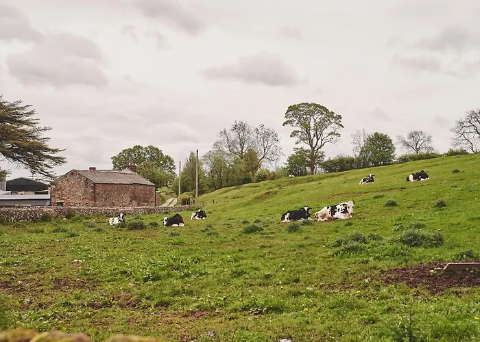 Σπίτι διακοπών Plum *